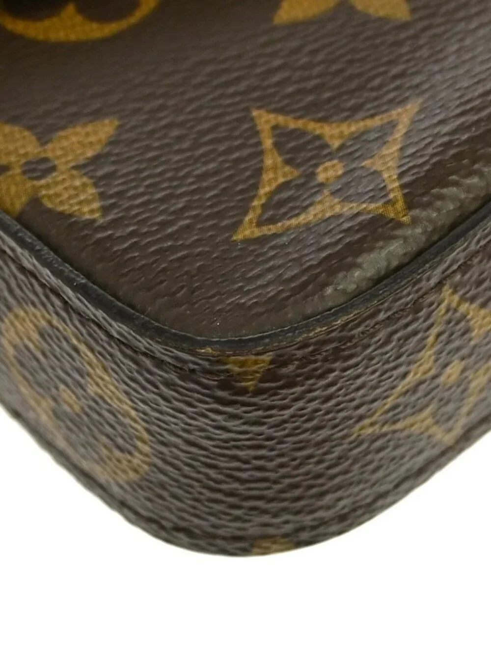 LOUIS VUITTON POCHETTE FELICIE VALENTINE DOG SHOULDER BAG